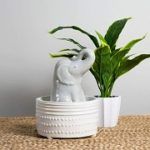 Best 3 Elephant Water Fountains For Sale In 2020 Reviews