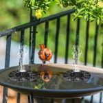 Best 10 Solar-Powered Bird Bath Fountains In 2020 Reviews
